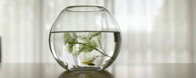 如何让鱼缸里的水质变干净(怎样才能把鱼缸里的水质变好)