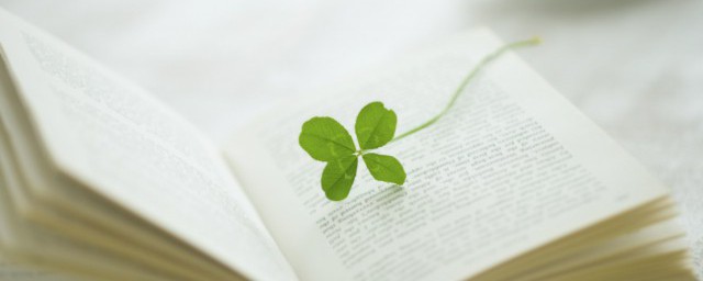 日行一善正能量语录500字有哪些(日行一善500字感悟)