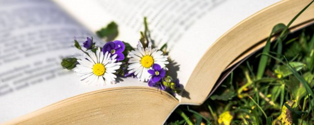 惠崇春江晓景古诗其一翻译(惠崇春江晓景这首古诗的意思)