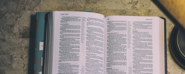 一棵棵什么的造句(一颗颗造句)