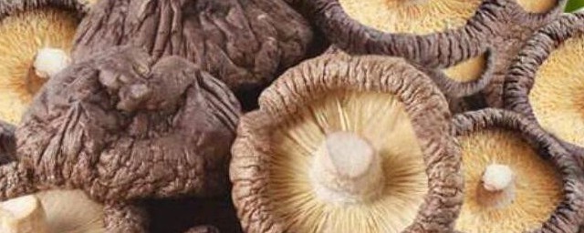 干蘑菇泡多久(干蘑菇泡多久可以炖)