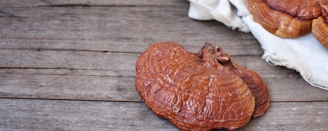 食用灵芝用不用清洗(灵芝要不要洗洗再吃)