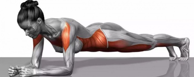 什么是平板支撑(什么是平板支撑 平板支撑有什么用)