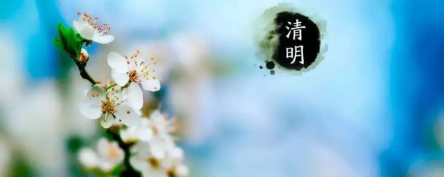 清明祭祖方法(清明节祭祖方法)