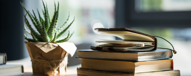 解释独在异乡为异客每逢佳节倍思亲出处(独在异乡为异客 每逢佳节倍思亲 意思是什么)