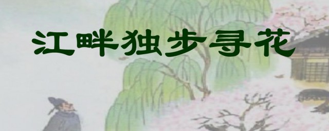 江畔独步寻花的意思(江畔独步寻花的意思诗意黄师塔前江水东)