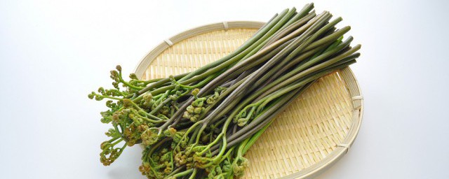 蕨菜怎么吃法(蕨菜怎么做法)