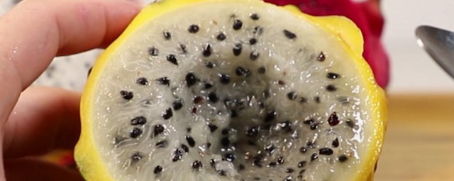 燕窝果的营养价值及功效分享(燕窝果的营养成分)