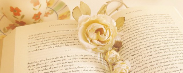 受益不浅解释(受益非浅 释义)