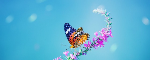 阳光信用的文案(阳光信用文案互帮互助)