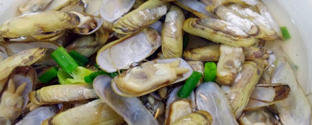 蛏子煮几分钟(葱油蛏子煮几分钟)