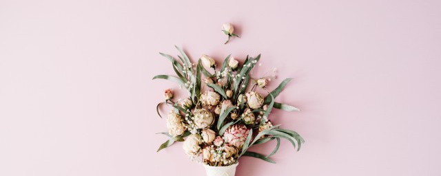 什么花适合送给病人(哪种花适合送给病人)