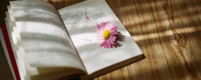 司空见惯有什么意思(司空见惯是什么意思啊)