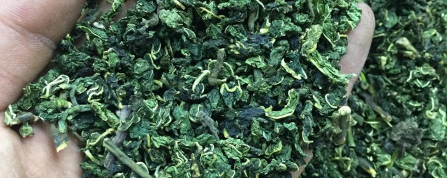 霜桑茶不适合什么人喝(霜后桑叶茶什么人不能喝)