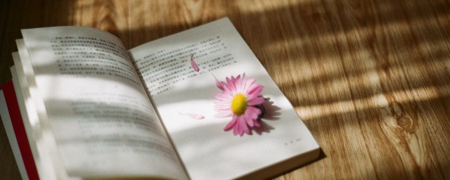 腻的组词都有哪些(腻字的组词还有什么)