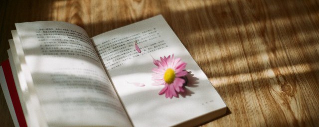 新版征信具体什么时候更新(征信从什么时候开始更新)