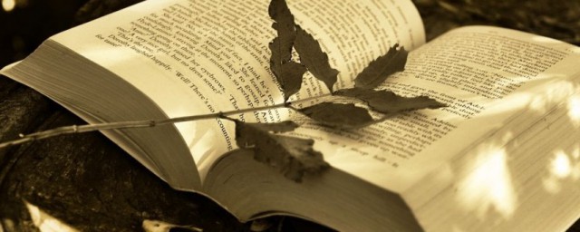 竹里馆如何赏析(竹里馆语句赏析)