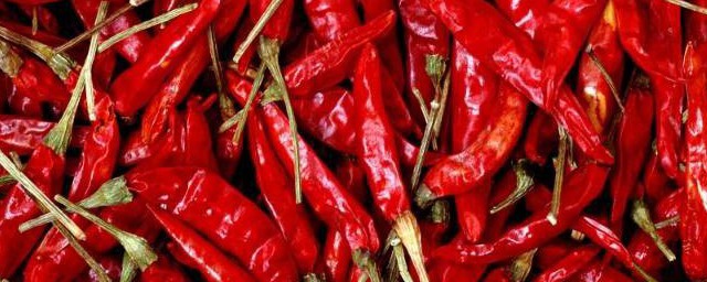 辣椒的形态(辣椒的形态描写)