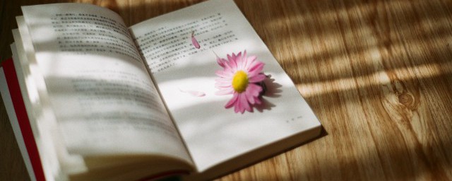 漂亮的含义(漂亮的含义写句子)