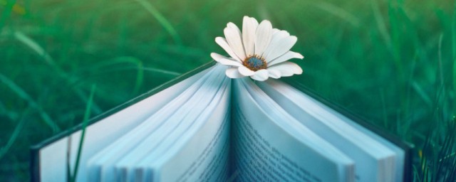 数学中的坡度i解释(数学中坡度i怎么读)