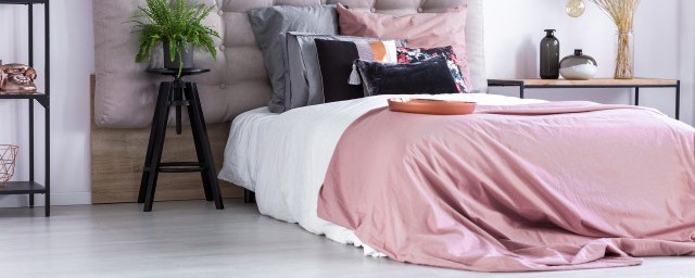 睡觉的床上有蚂蚁咋办(床上面有蚂蚁怎么办)