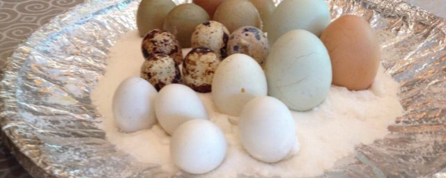 鸽子蛋煮多久时间(鸽子蛋应该煮多久)