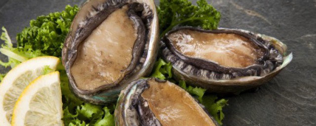 鲍鱼的动物属性(鲍鱼是什么动物类别)