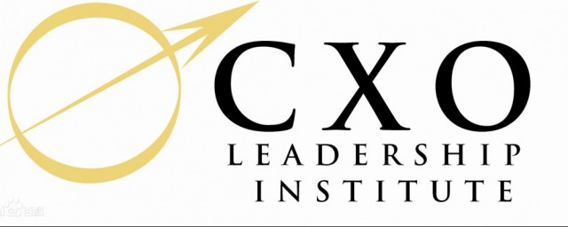 cxo简介(cso cxo)