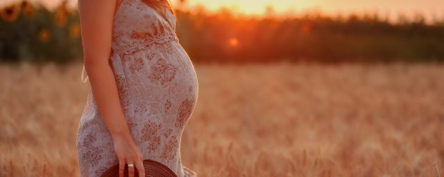 怀孕了可不可以接种疫苗(怀孕能否接种疫苗)