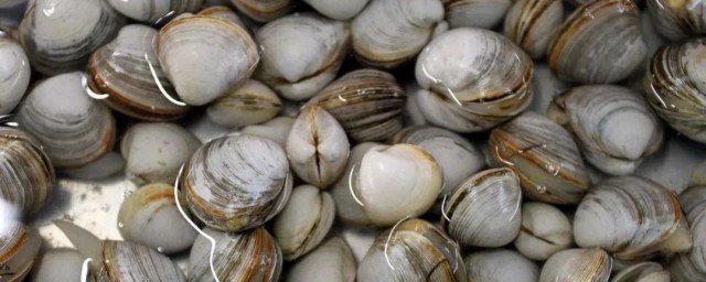 大黄蚬子煮多长时间(黄蚬子煮熟了可以放多久)