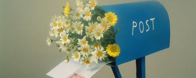 邮箱号介绍(邮箱号全称)