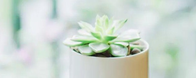 抖音里充满阳光的句子(抖音阳光明媚的句子)