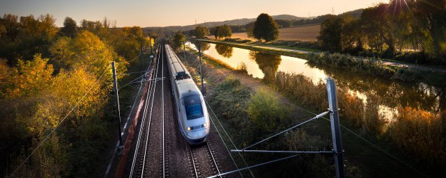 怀孕能养猫(怀孕能养猫狗吗)