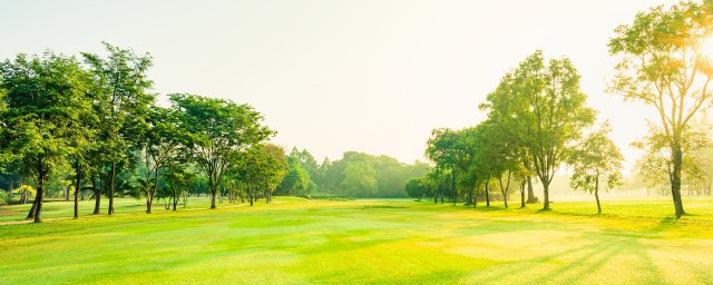 阳光善良的正能量句子大全(关于善良的正能量句子 关于正能量的句子)