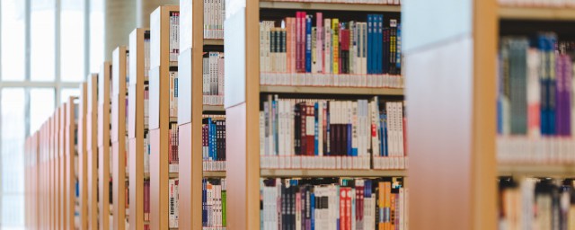 乃一组特意思是什么(乃伊组特是哪里的话)