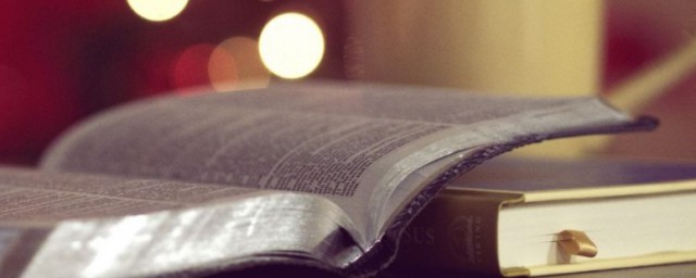 便扶向路中的扶向解释(便扶向路向的意思)