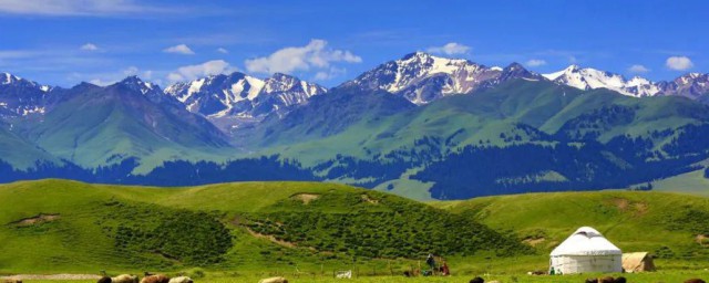 新疆是不是西北地区(新疆属于西北区吗)