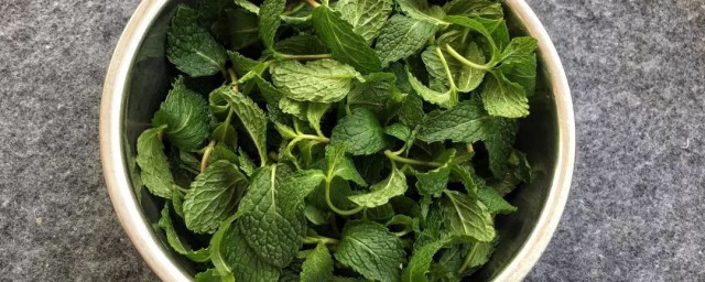 薄荷如何清洗最干净(怎么洗薄荷叶才干净)