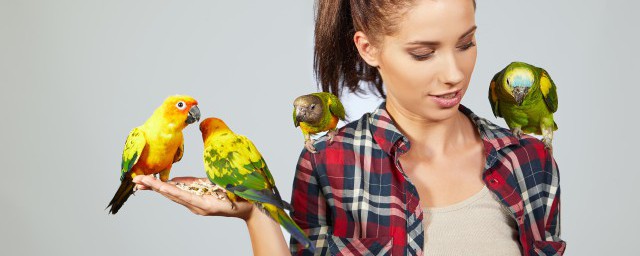 我国已发现的鸟类约有多少种(我国已经发现的鸟类大约多少种)