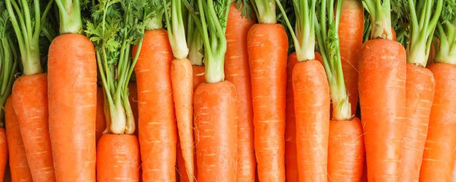 萝卜长白毛还敢吃吗(萝卜长白毛须还能吃吗)