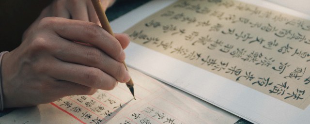 蒂怎么读(芾字怎么读)