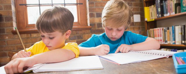 豆的结构是什么呢(豆子的基本结构)