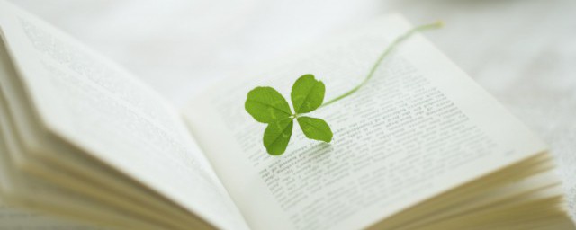 飞机怎么拼(飞机怎么拼写)