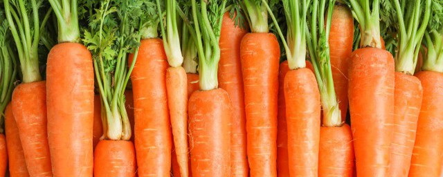 吃胡萝卜会不会胖(常吃胡萝卜会胖吗)