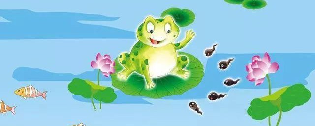 小蝌蚪找妈妈告诉我们的道理(小蝌蚪找妈妈告诉小朋友们什么道理)