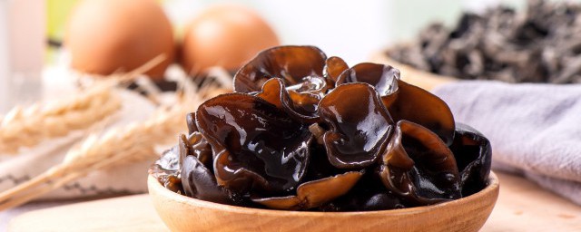 木耳隔夜不能吃(木耳隔夜不能吃 谣言)