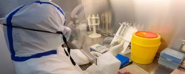 做核酸检测有效期多长时间(核酸检测做了有效期多久)