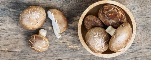 干香菇怎样快速泡好(怎么快速泡干香菇)