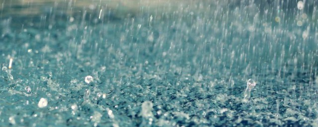 描写小雨的优美句子(描写小雨的优美句子短一年级)