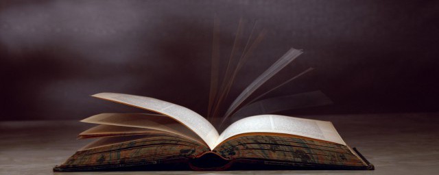 雍容华贵的含义(雍容华贵的雍容的意思)